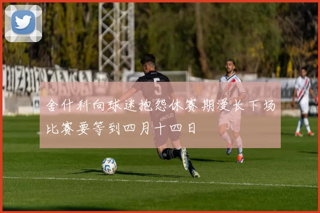 舍什科向球迷抱怨休赛期漫长下场比赛要等到四月十四日